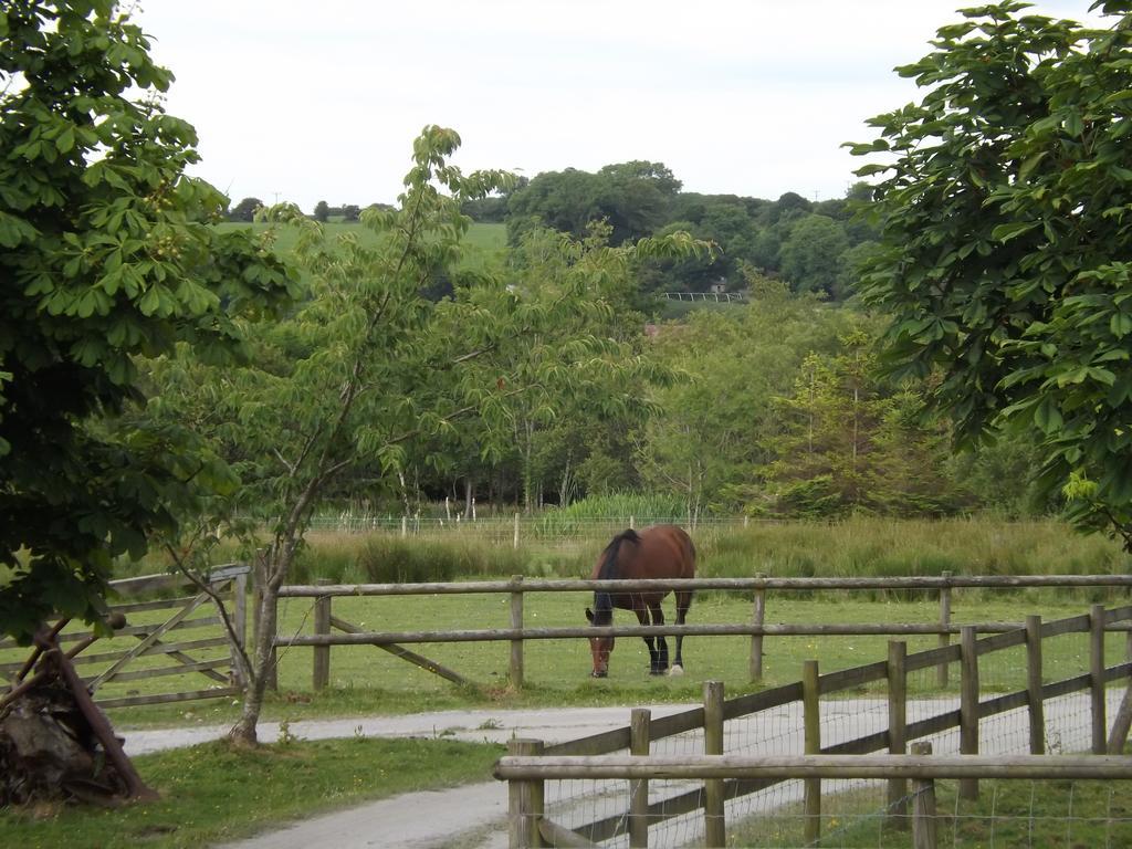 新码头燕子宾馆住宿加早餐旅馆 客房 照片