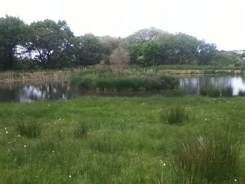 新码头燕子宾馆住宿加早餐旅馆 外观 照片