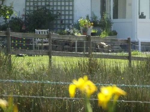 新码头燕子宾馆住宿加早餐旅馆 外观 照片